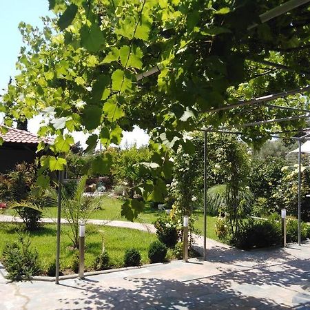 Villa Viktoria Halkidiki Nea Silata 外观 照片