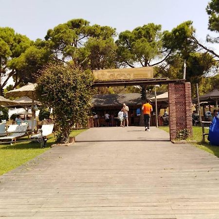 Villa Viktoria Halkidiki Nea Silata 外观 照片