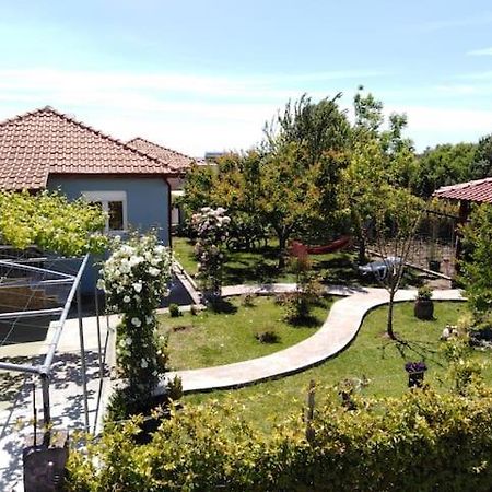 Villa Viktoria Halkidiki Nea Silata 外观 照片
