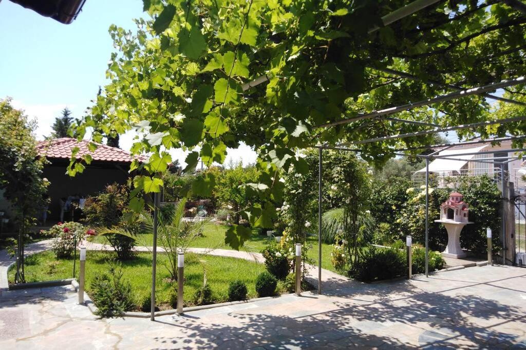 Villa Viktoria Halkidiki Nea Silata 外观 照片