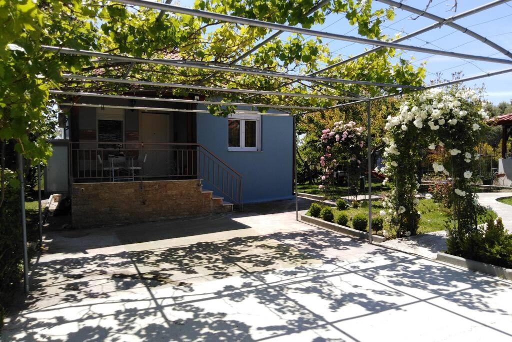 Villa Viktoria Halkidiki Nea Silata 外观 照片