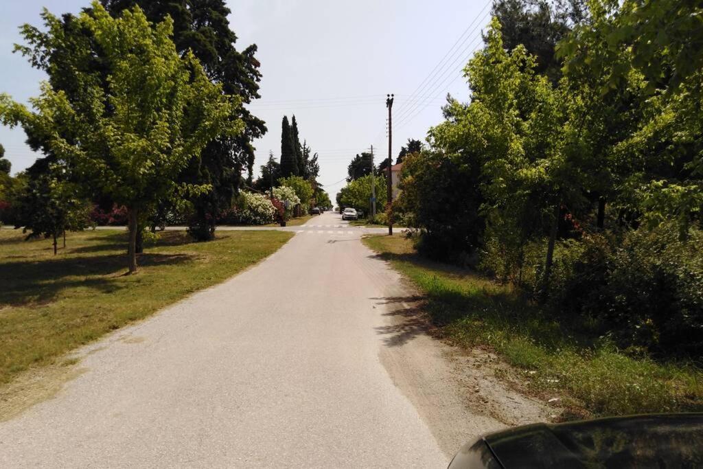 Villa Viktoria Halkidiki Nea Silata 外观 照片