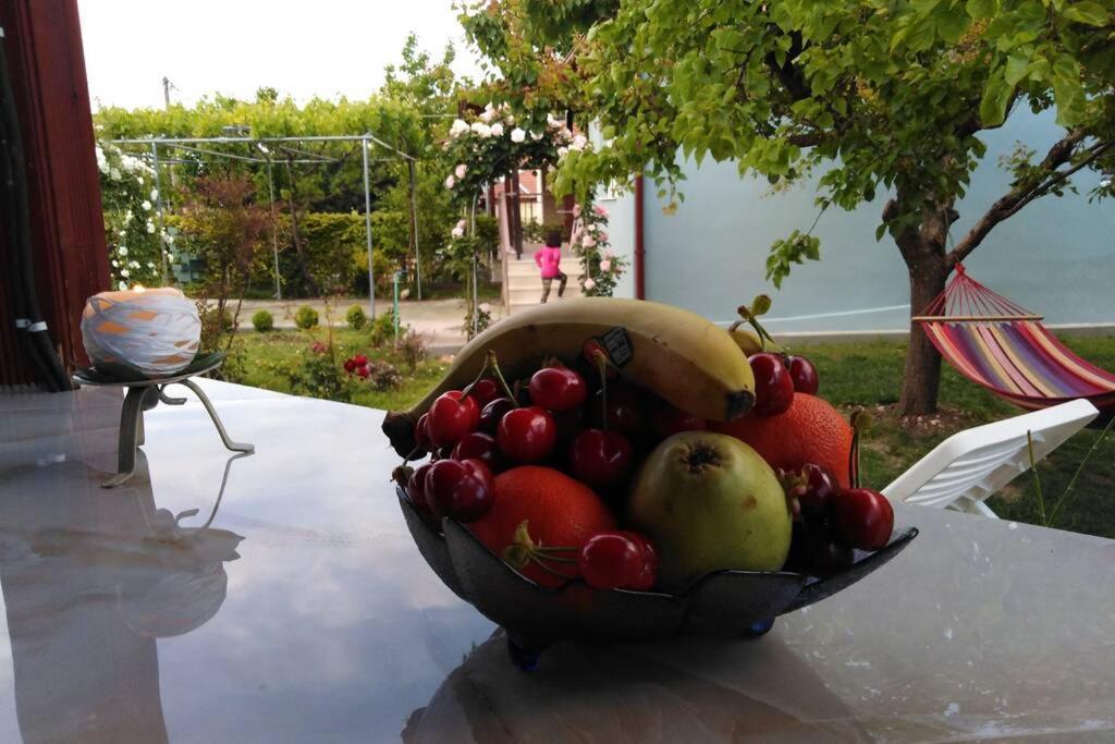 Villa Viktoria Halkidiki Nea Silata 外观 照片