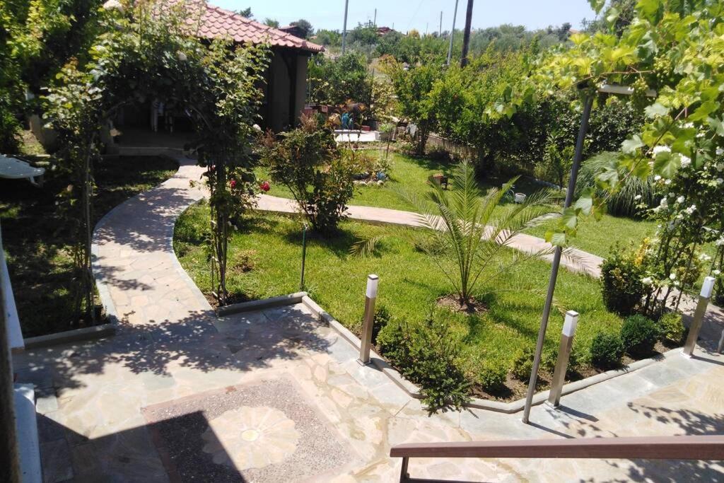 Villa Viktoria Halkidiki Nea Silata 外观 照片