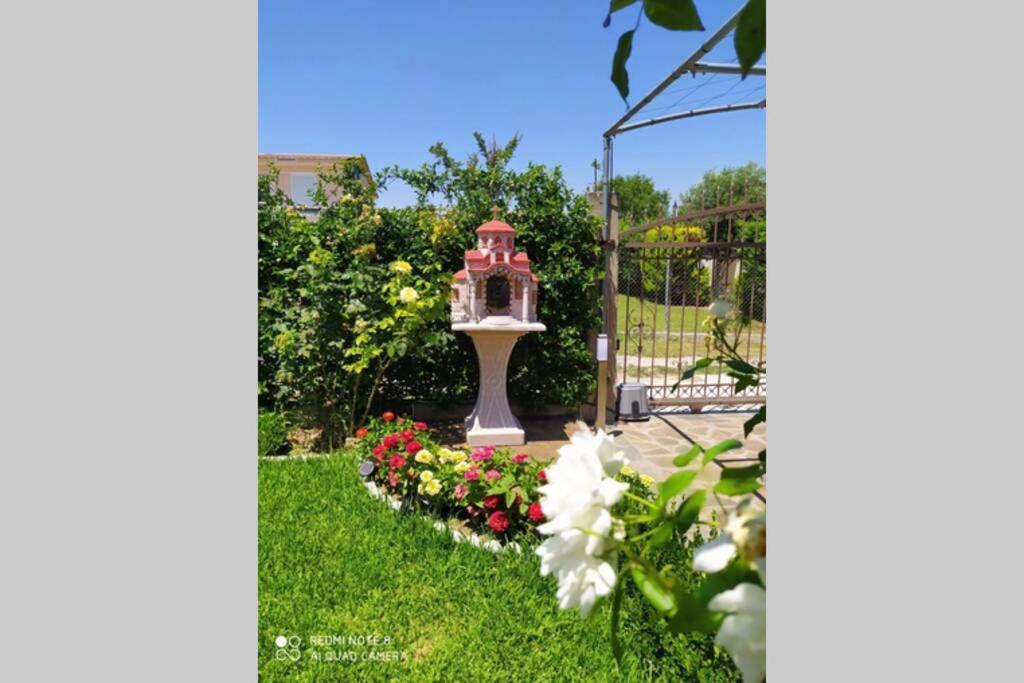 Villa Viktoria Halkidiki Nea Silata 外观 照片