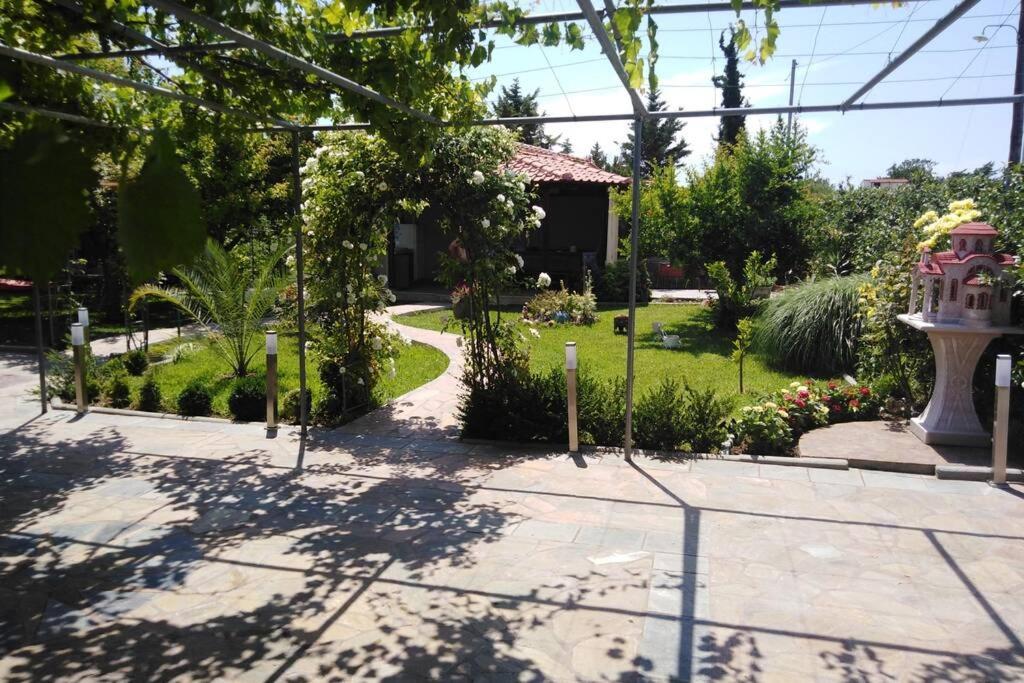 Villa Viktoria Halkidiki Nea Silata 外观 照片