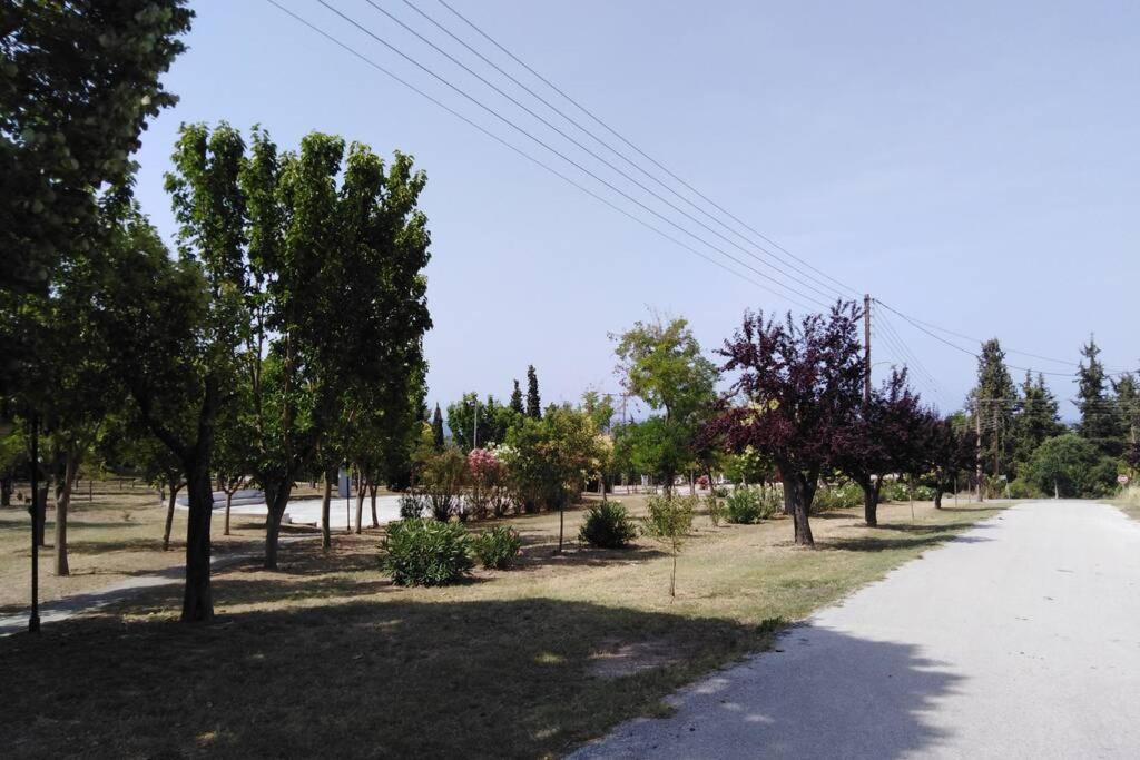 Villa Viktoria Halkidiki Nea Silata 外观 照片