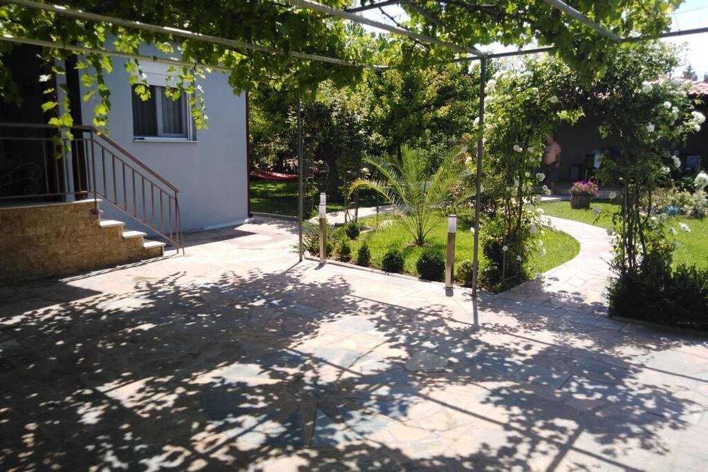 Villa Viktoria Halkidiki Nea Silata 外观 照片