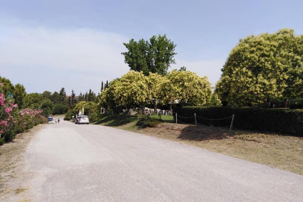 Villa Viktoria Halkidiki Nea Silata 外观 照片